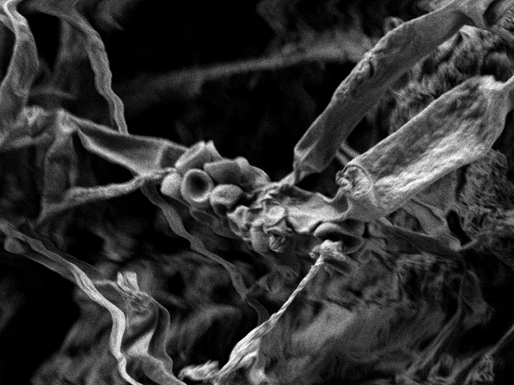 Formulated microbial product 01a