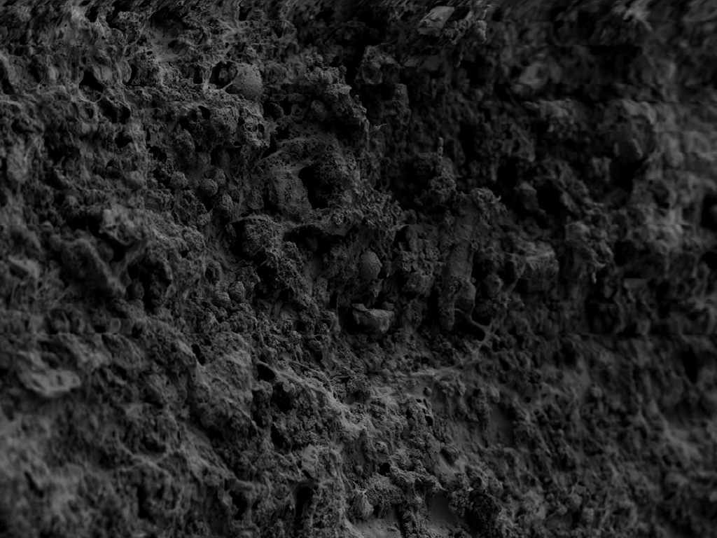 Organisms we have worked with